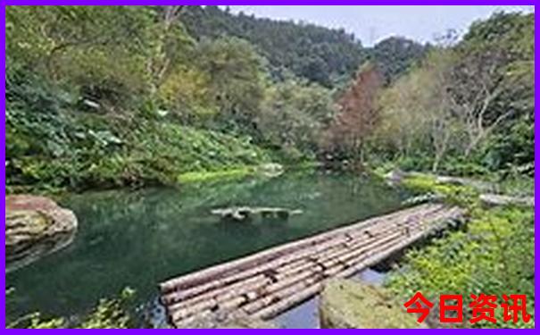 洛阳有什么好玩的地方旅游景点